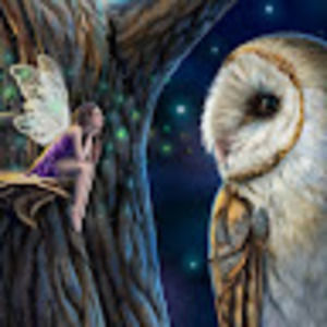 Meet your Posher, Misty